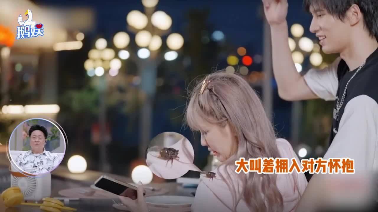 《小城故事多》陕西卫视首播