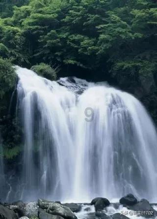 西安市人民政府发布最新人事任免